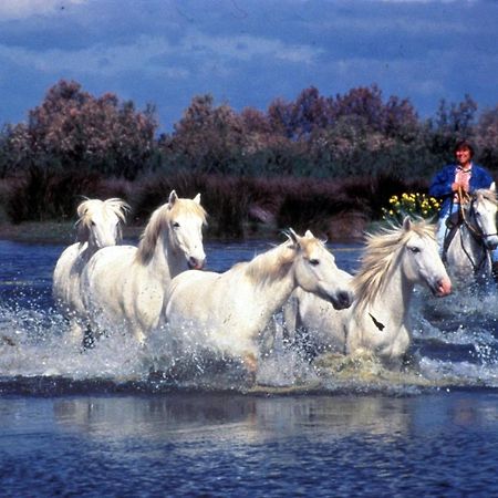 Апартаменти Le Tamaris Сен-Лоран-д'Егуз Екстер'єр фото