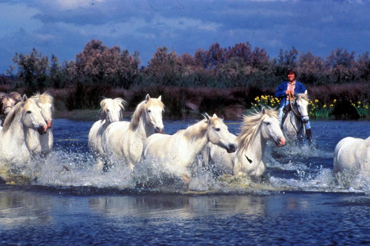 Апартаменти Le Tamaris Сен-Лоран-д'Егуз Екстер'єр фото